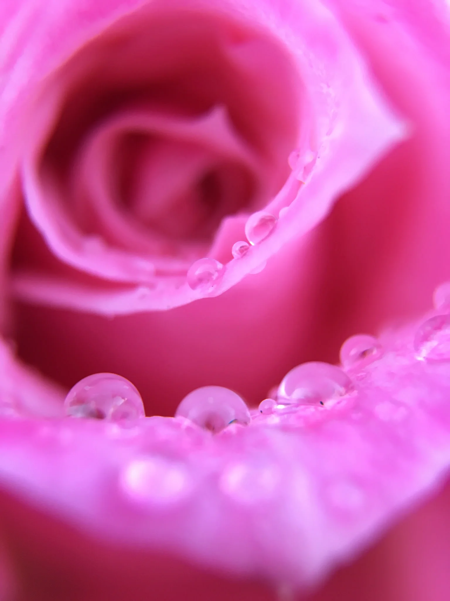 25554195774_2a71c64088_k.jpg