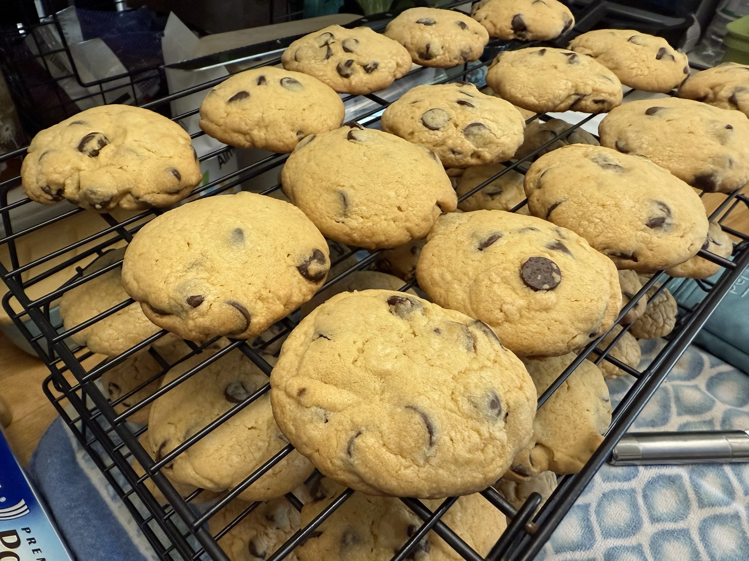 The Best Chocolate Chip Cookies