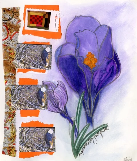 Charlotte sm book p8-9008.jpeg