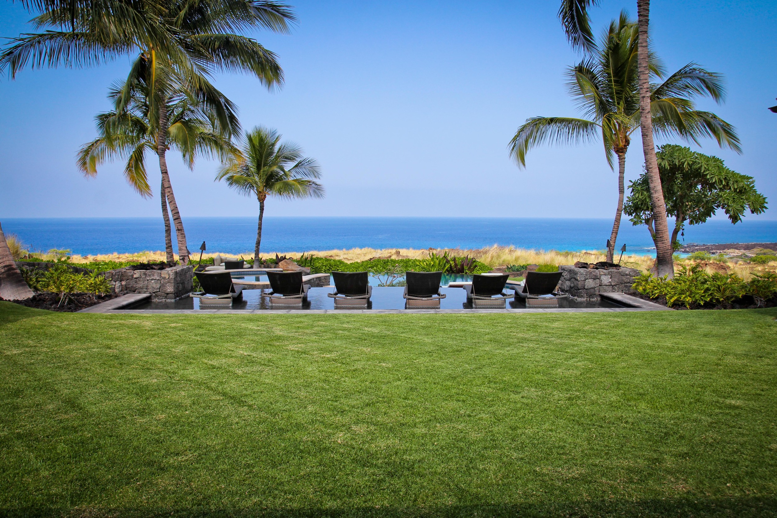 BioscapeHawaii-7391.jpg