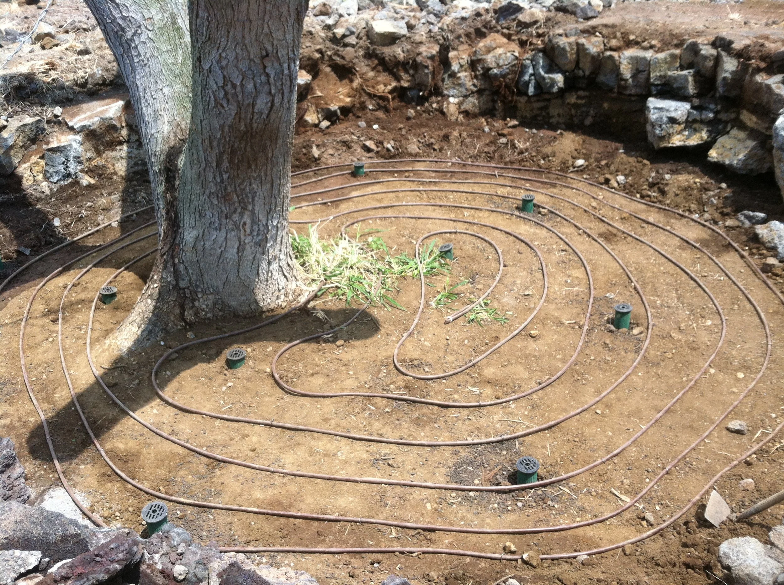 WATER CONSERVING IRRIGATION.JPG