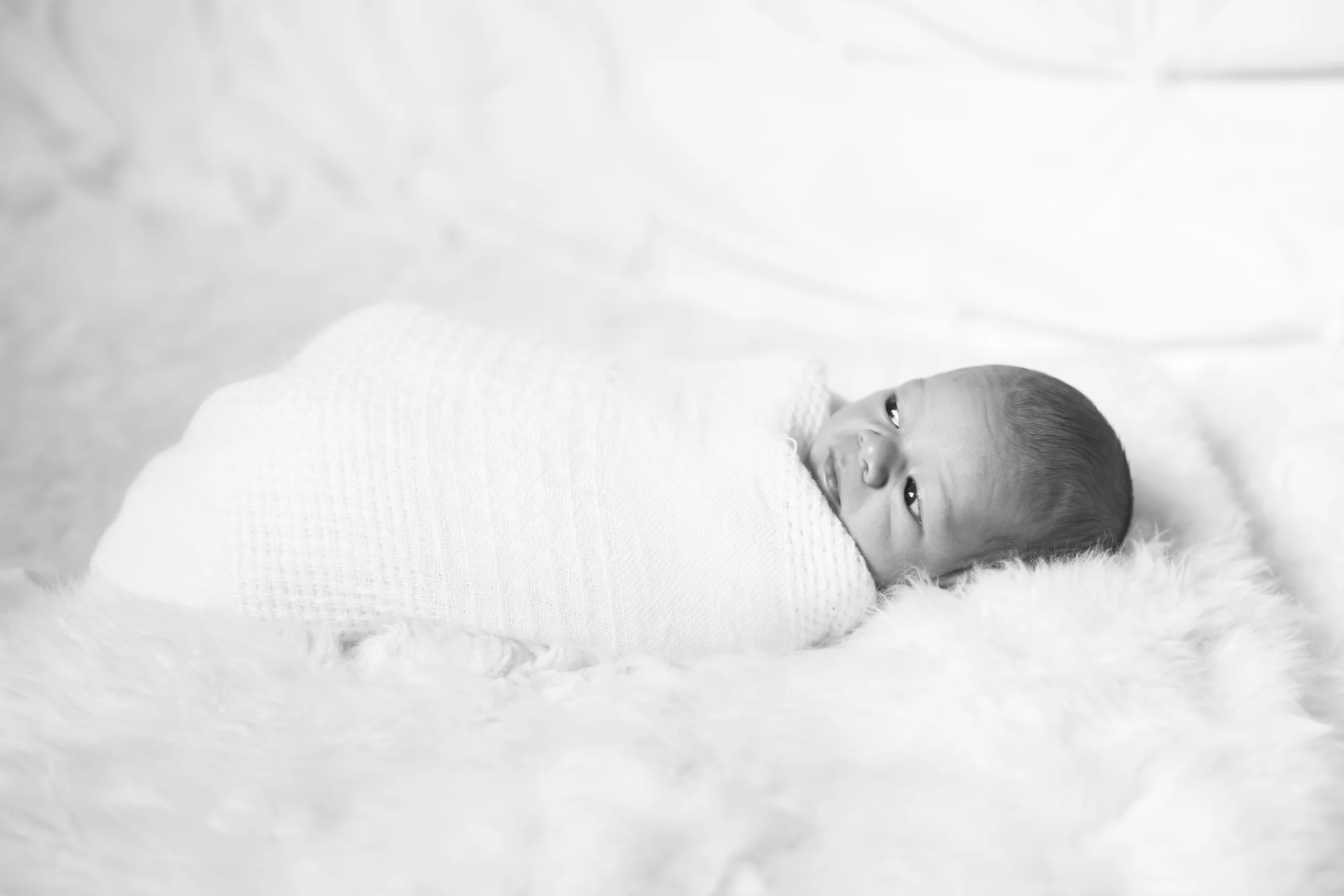 Koby (34 of 143).jpg