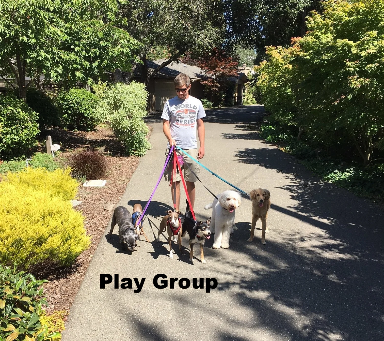 2016-6 z play group 1.JPG