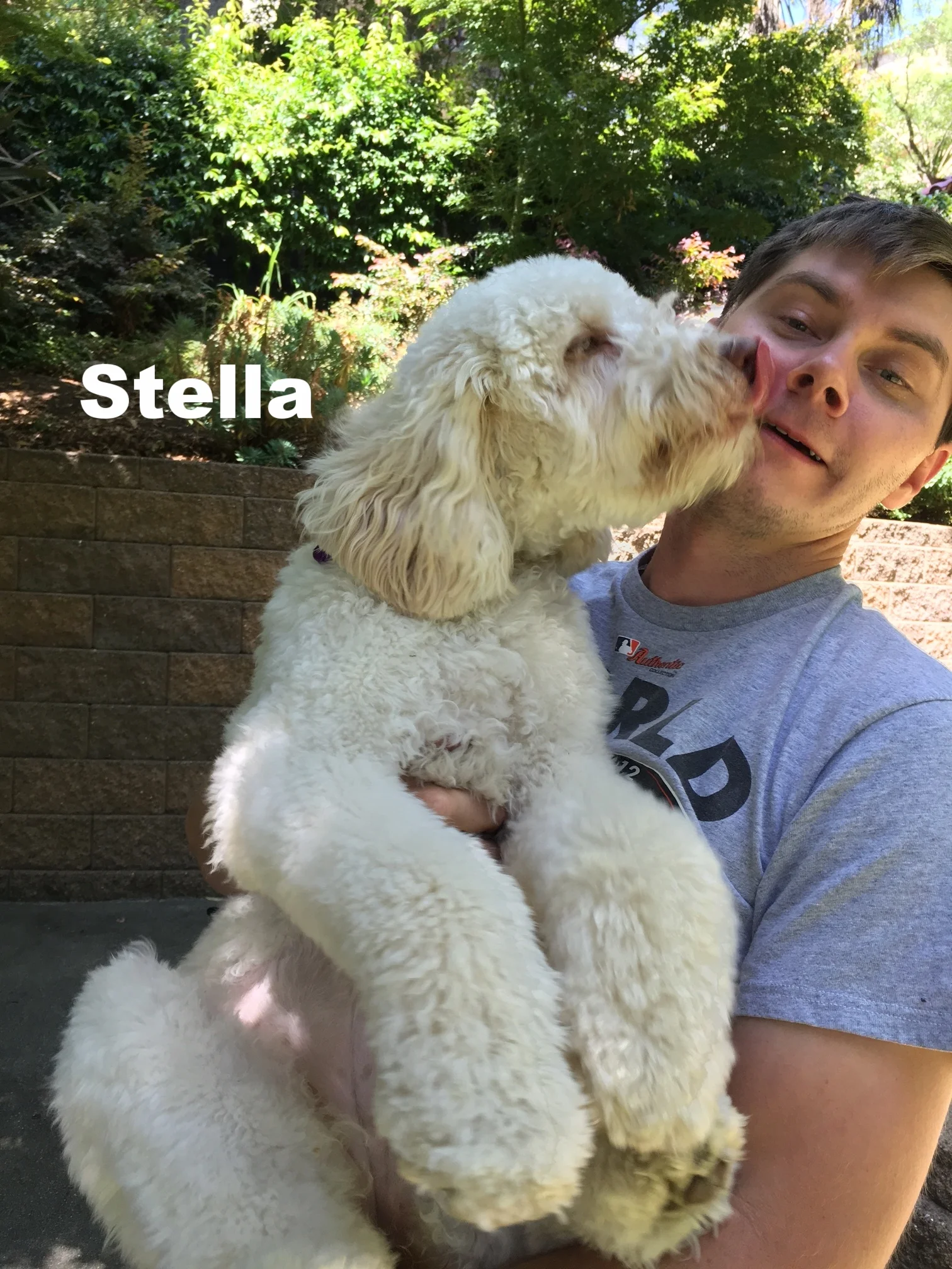 Stella
