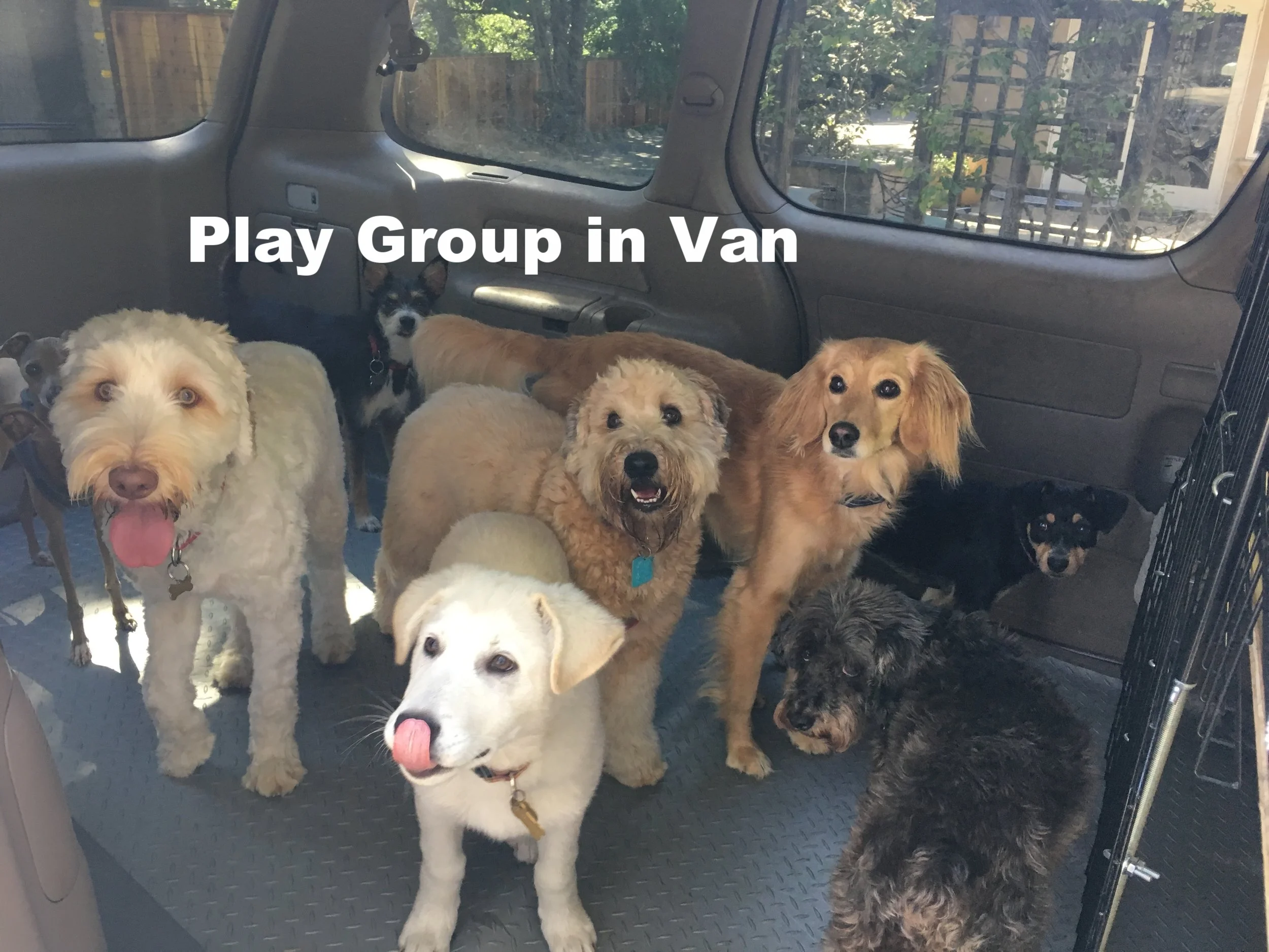 2017-7 Play group in van.JPG