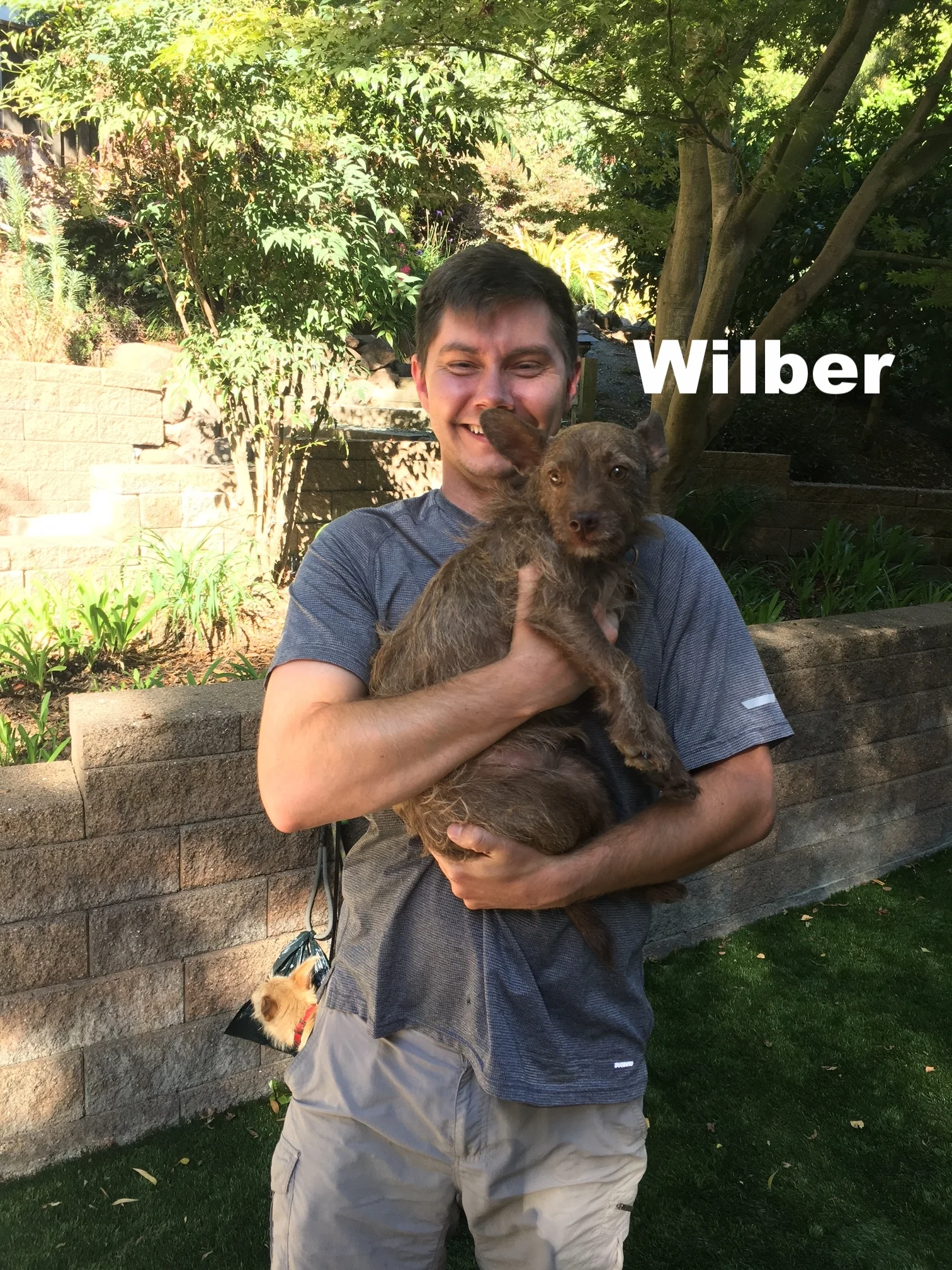 2017-9 Wilber.JPG