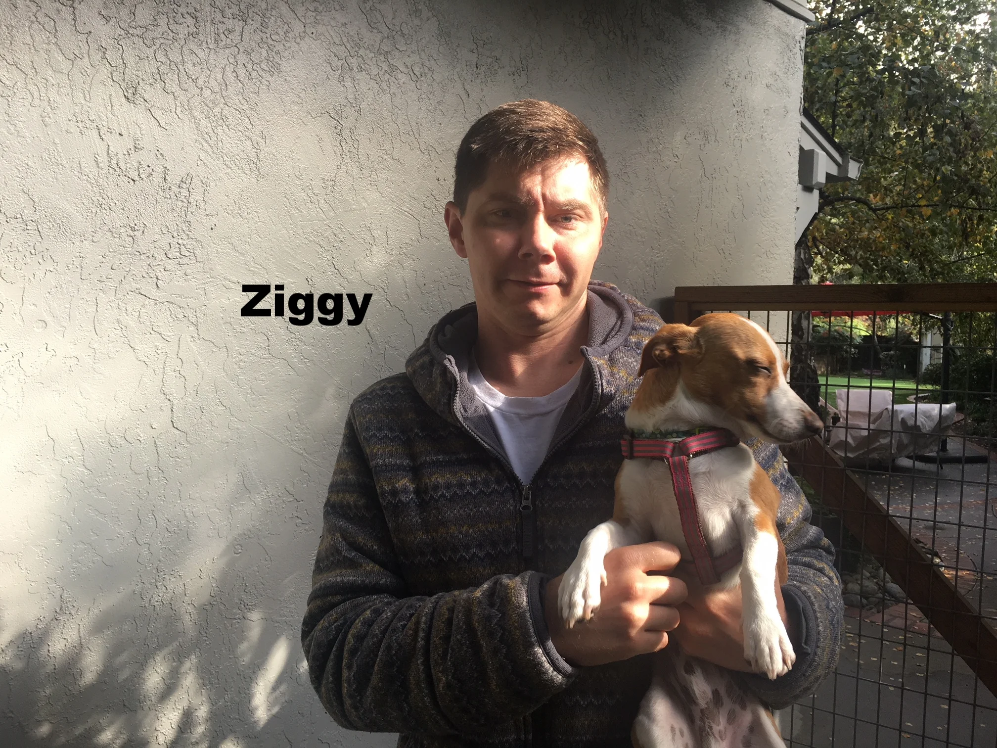 2017-11 Ziggy.JPG