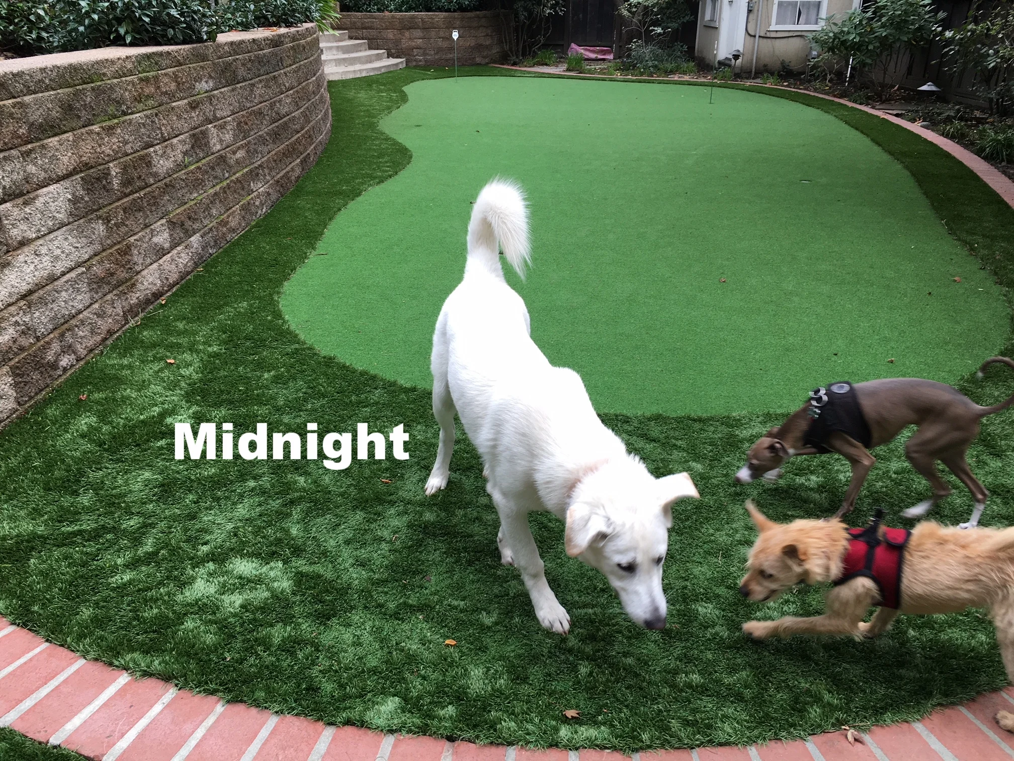 2017-11 Midnight.JPG