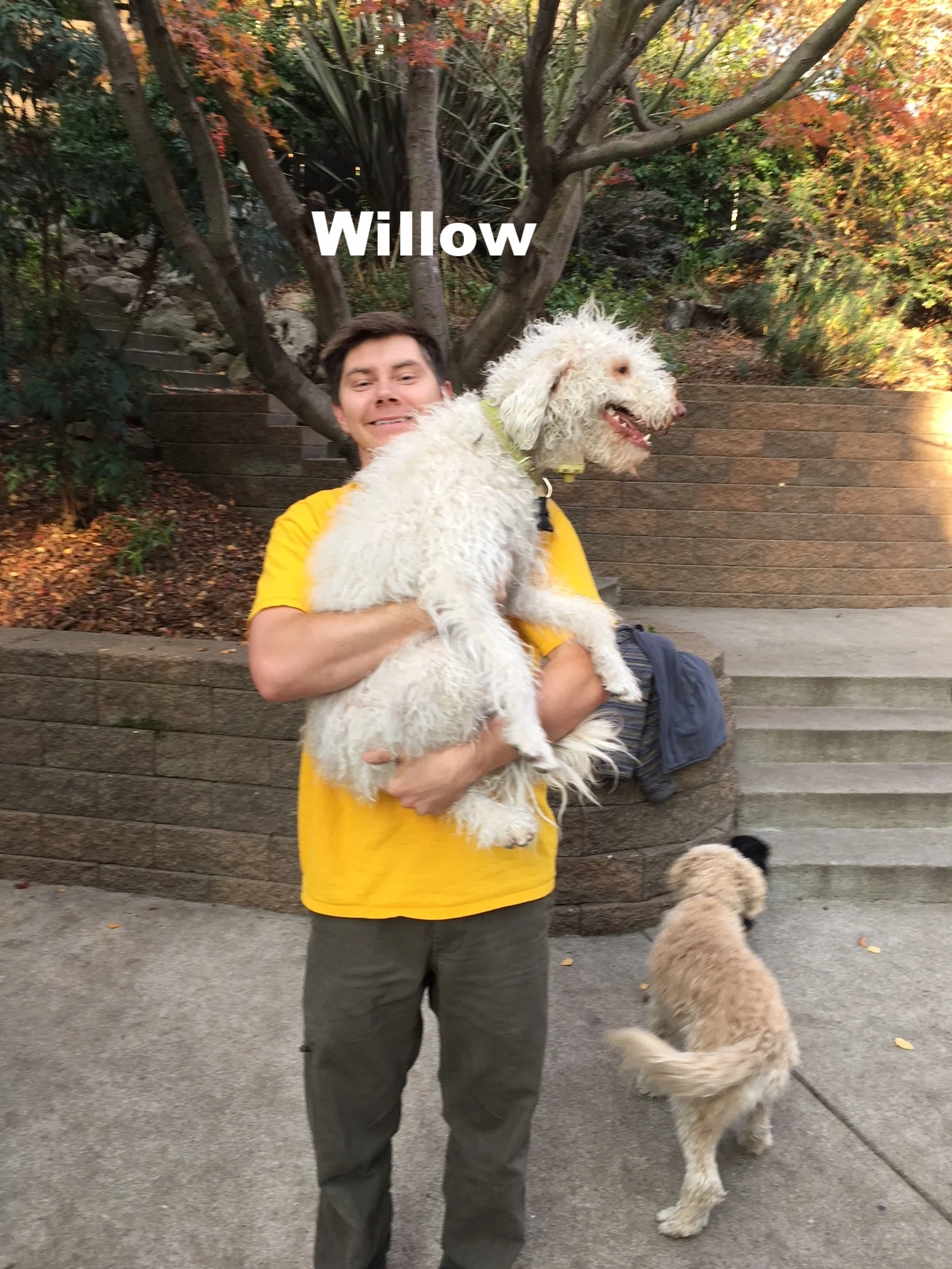 2017-12 Willow.JPG