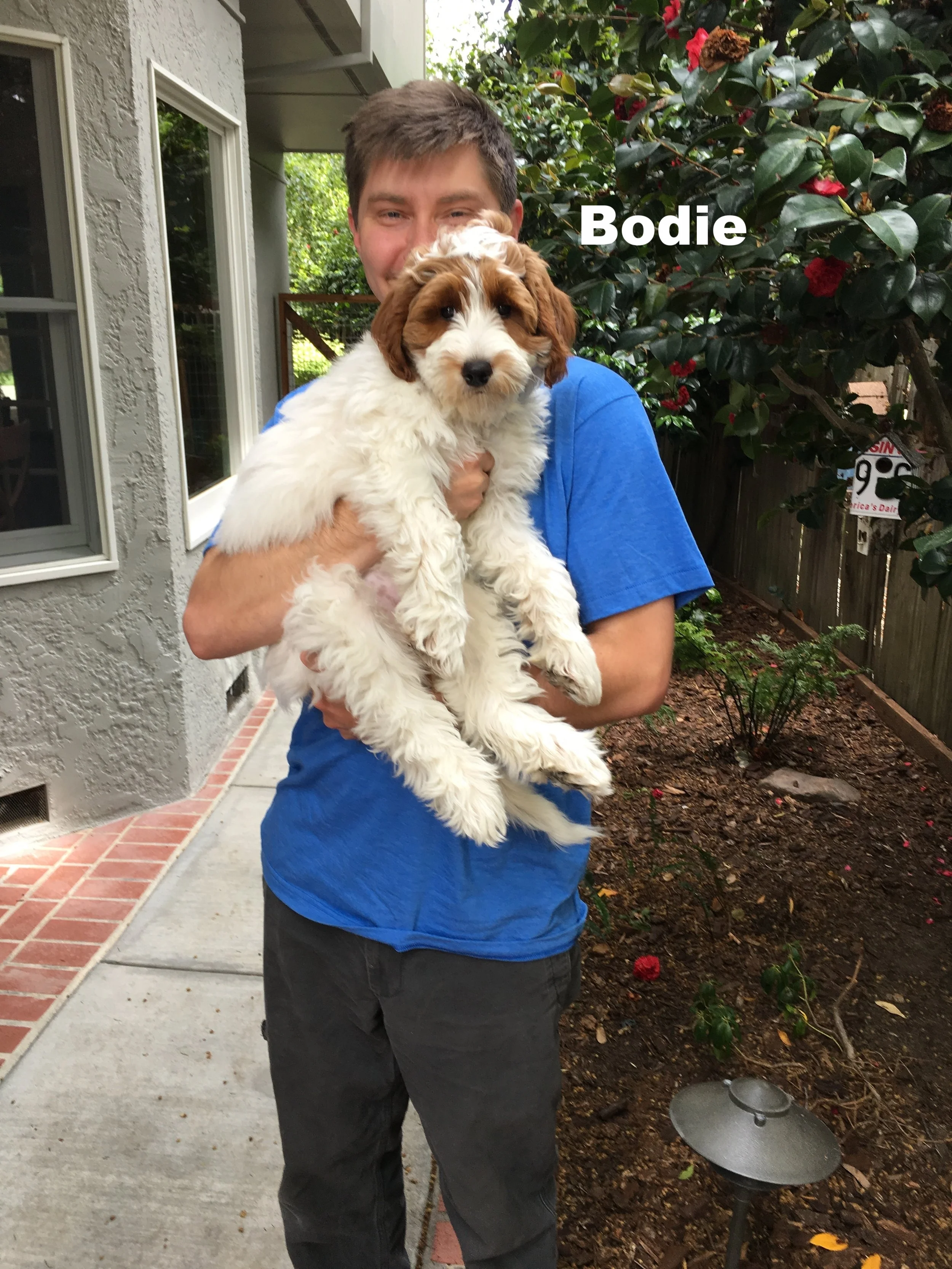 2018-5 Bodie.JPG