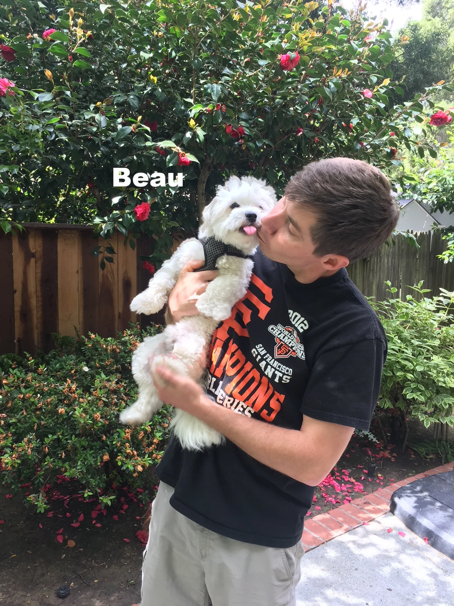 2018-5 Beau.JPG