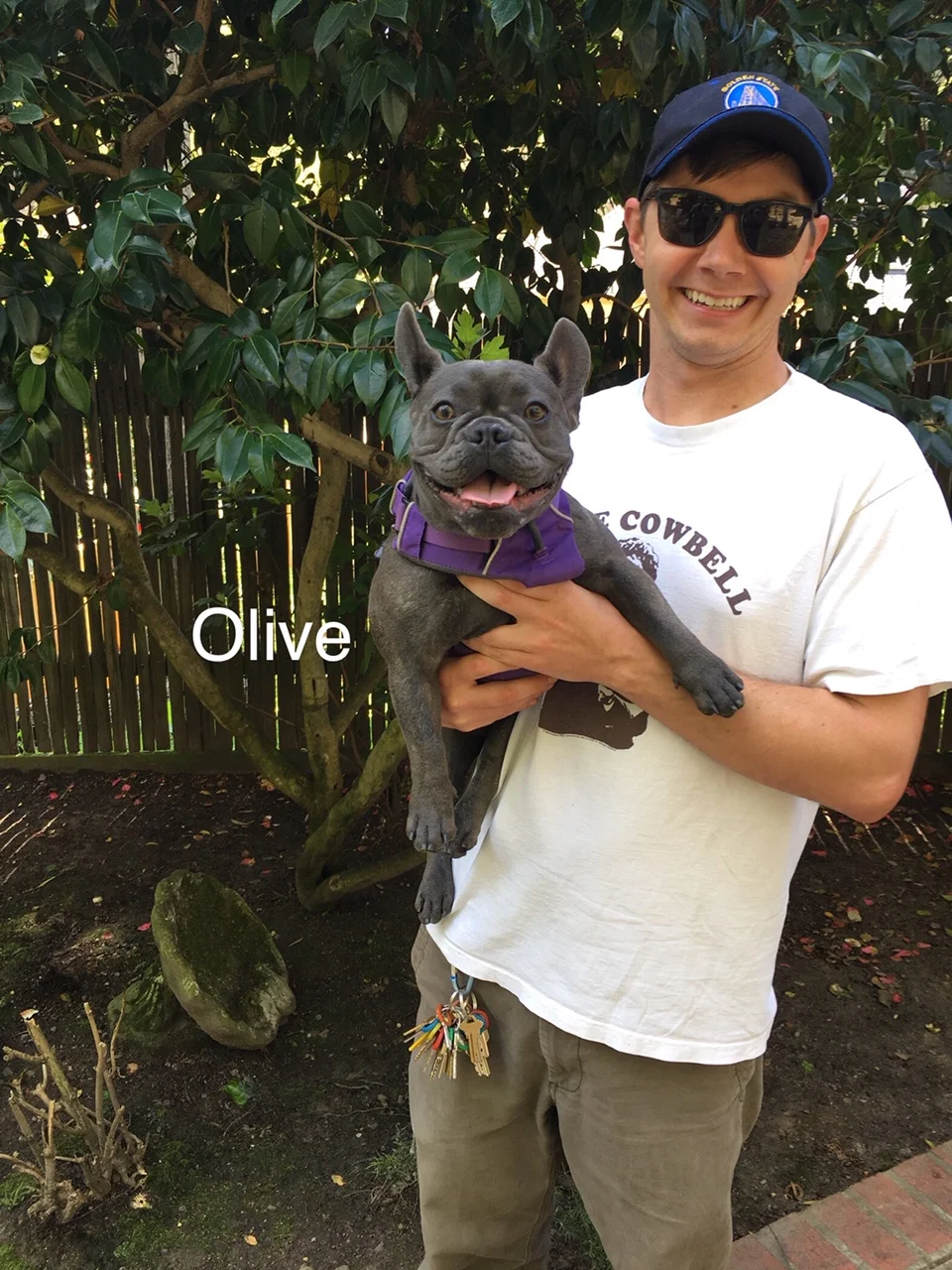 2019-3 Olive.jpg