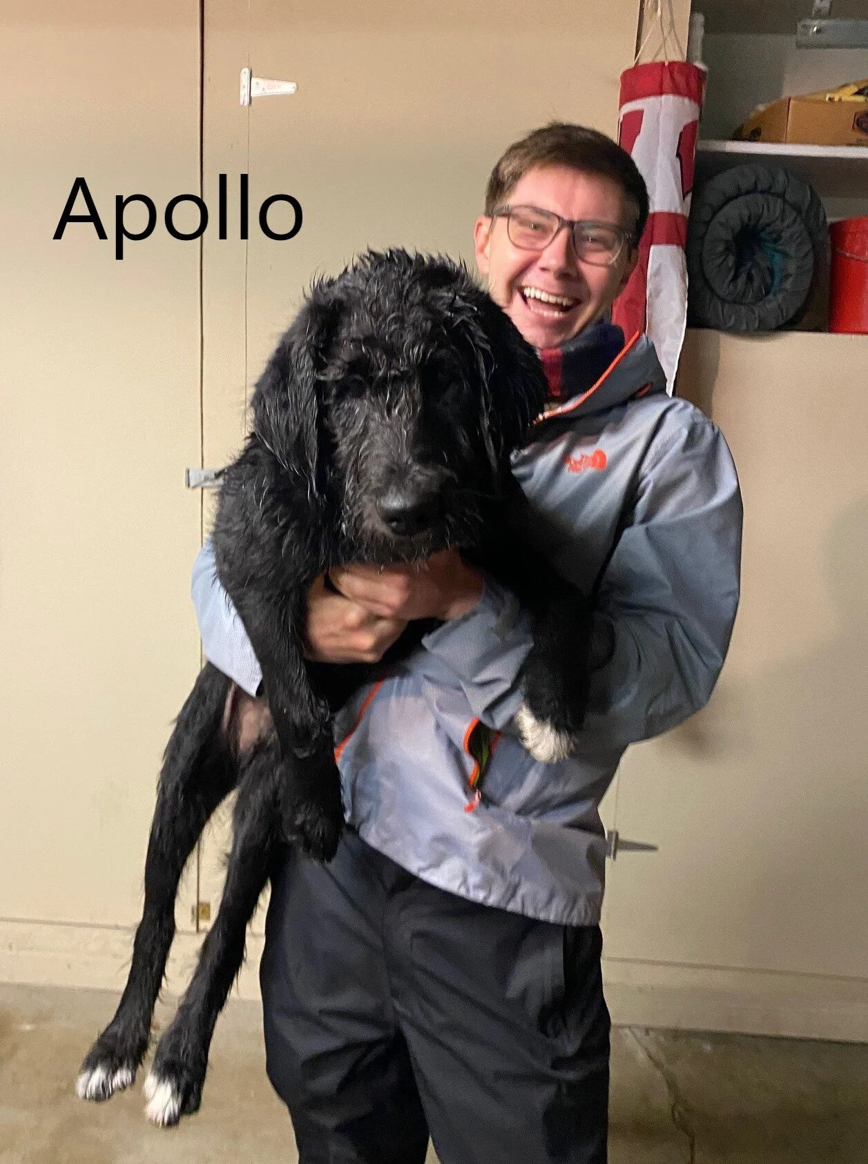 2021-1 Apollo.jpg