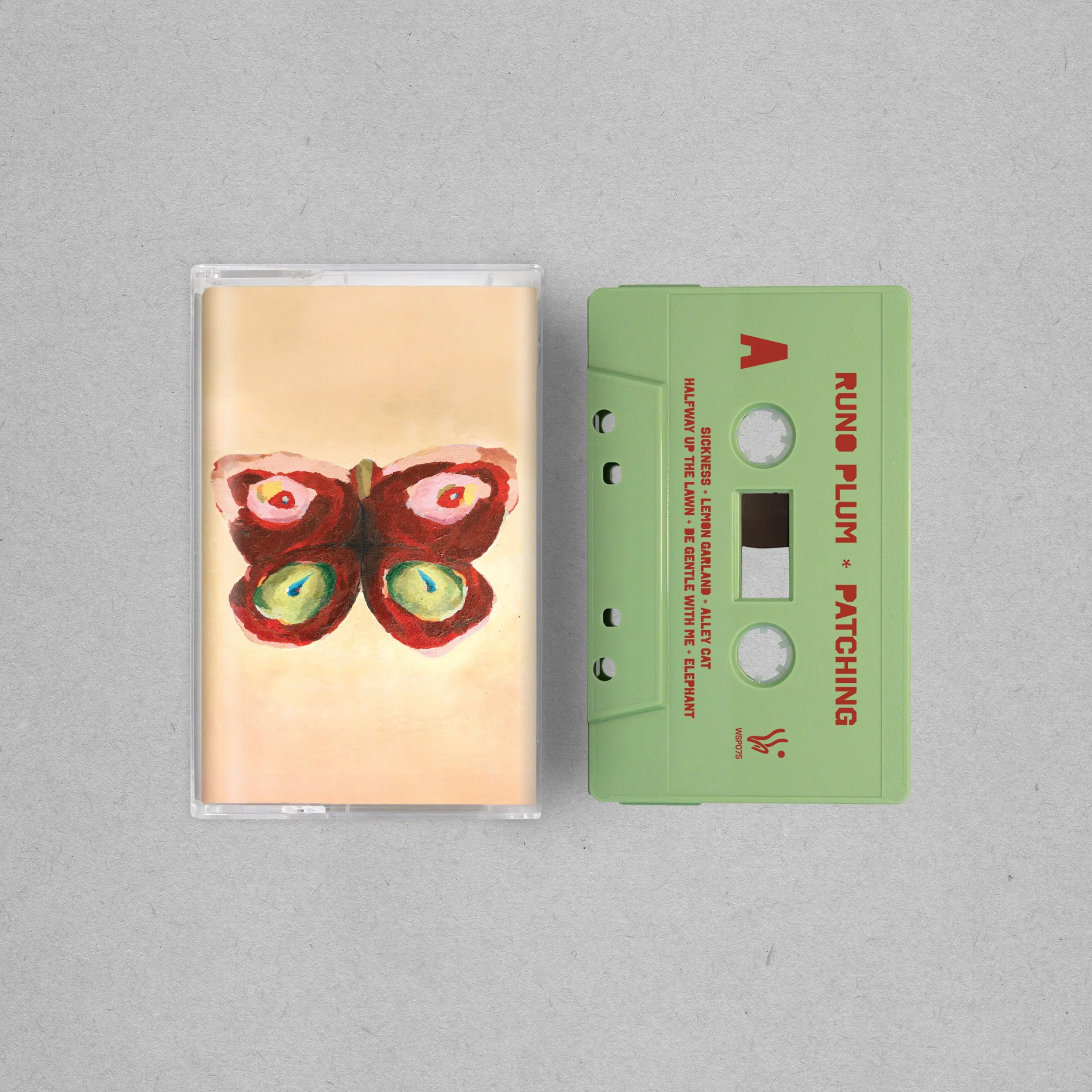 WSP075cass_mock.jpg