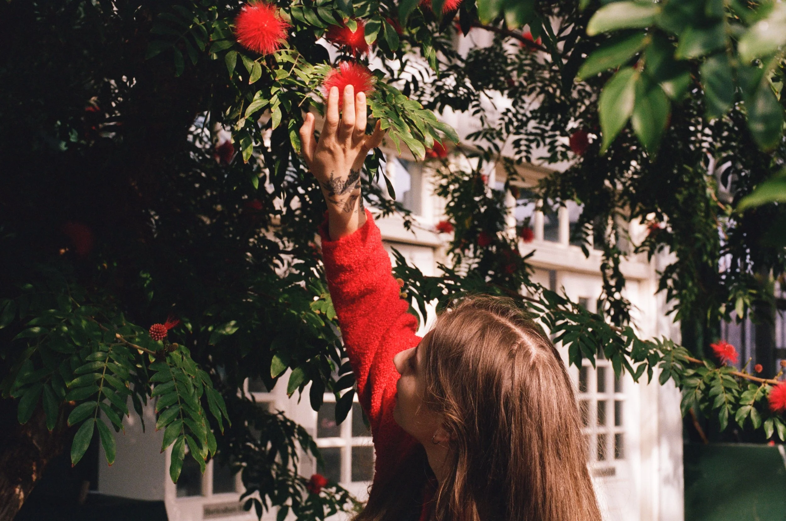 runo plum shares dreamy new single "pink moon" from her forthcoming 'Bloom Again' EP