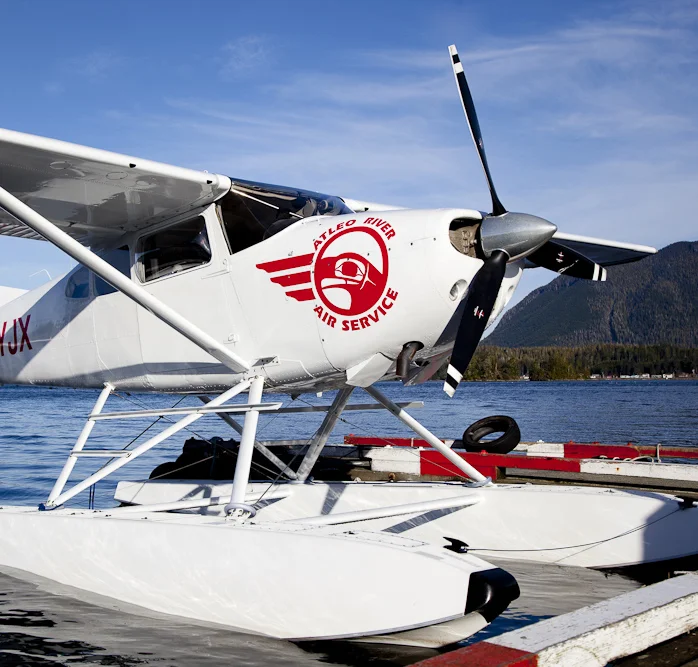 Whale Watching, Tofino, Plane, Adventure, Sea to Sky, Tours, Bear Watching, Nature, Ocean, Hot Springs