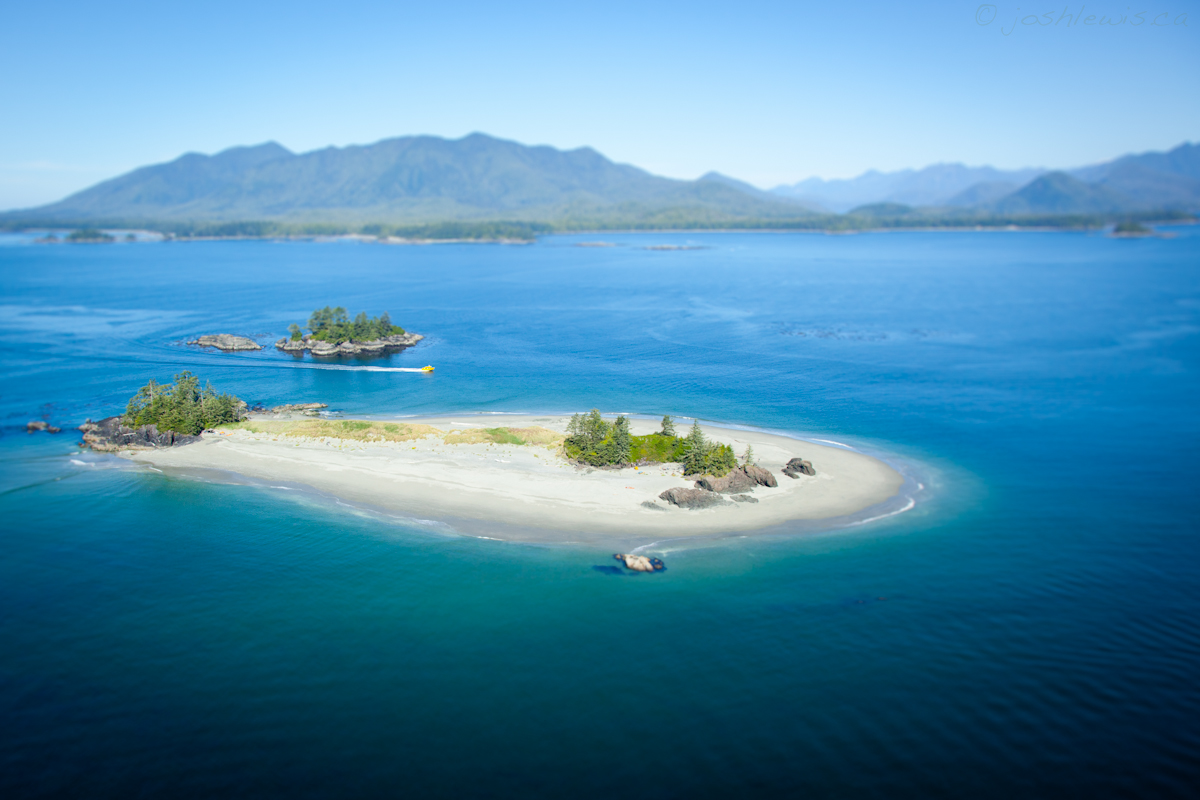 Whale Watching, Tofino, Plane, Adventure, Sea to Sky, Tours, Bear Watching, Nature, Ocean, Hot Springs