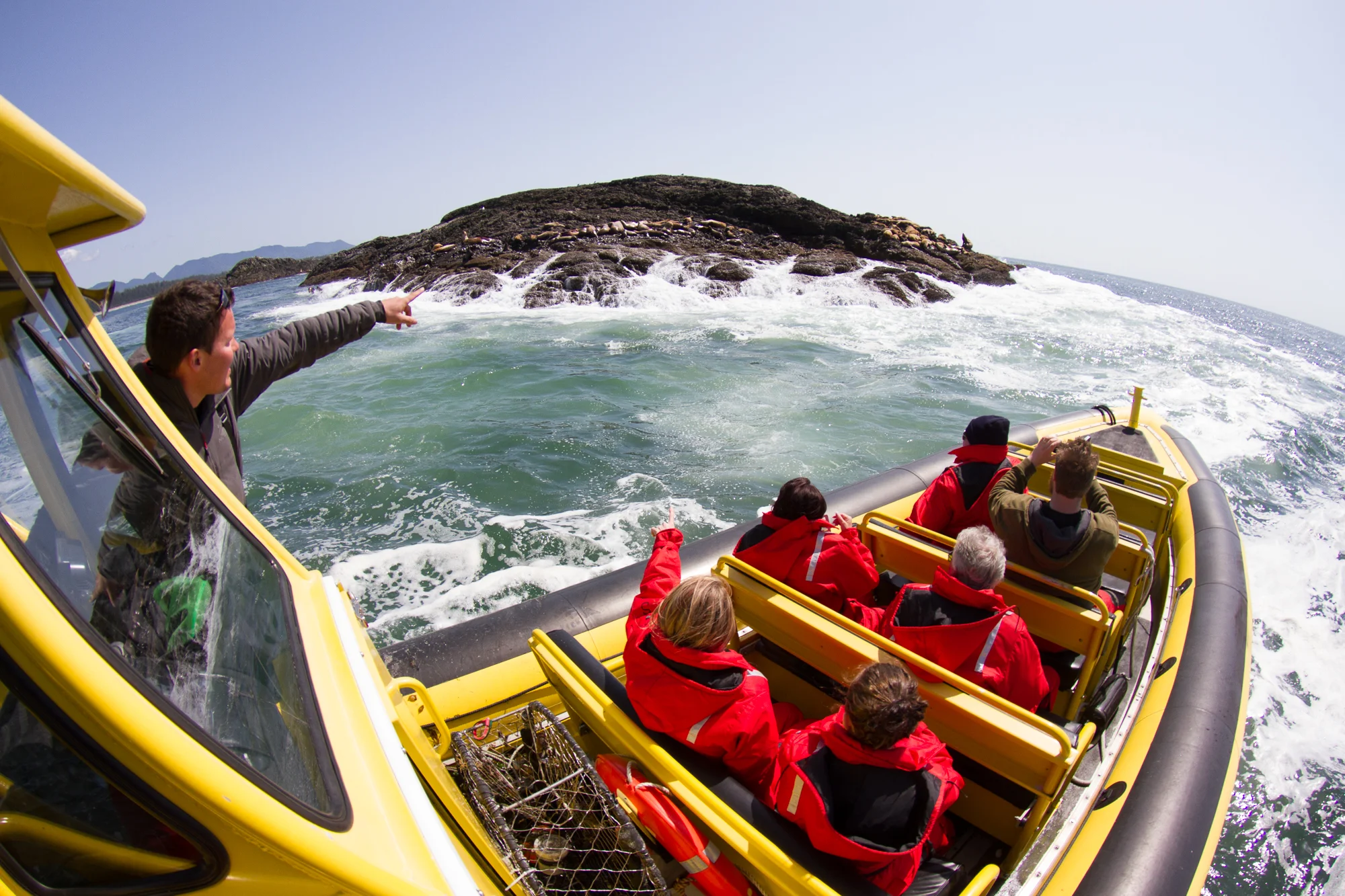 Whale Watching, Tofino, Bear Watching, Zodiac, Tours, Adventure, Wildside