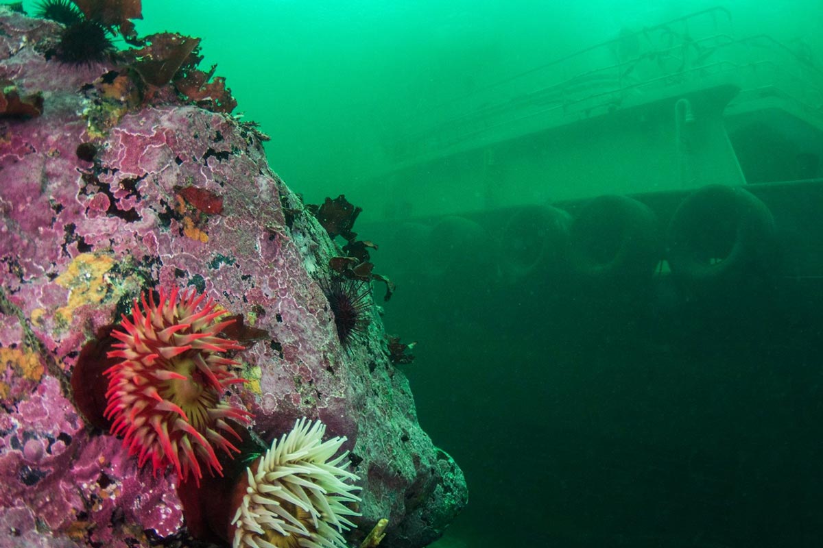 Sunk Vessel off Vancouver Island