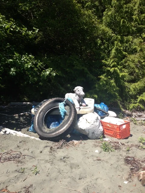 Junk that washed up ashore in Clayoquot Sound.
