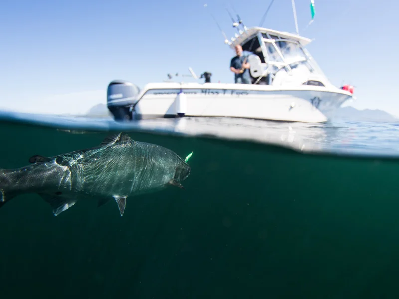 Salmon fishing off Vancouver Island's west coast in beautiful Tofino, BC.