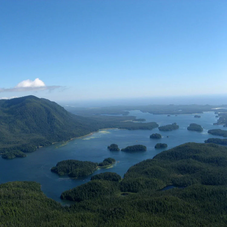 View from top of lone cone hike in Tofino, BC.