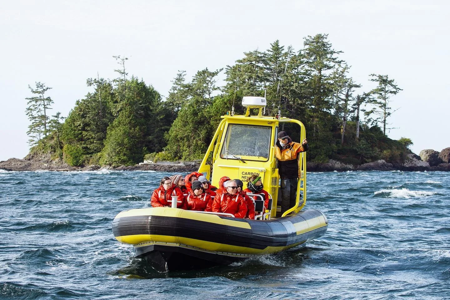 people on whale watching boat