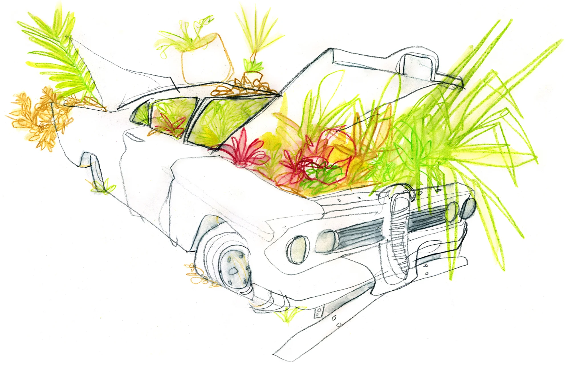My favorite piece is an Edsel that they've used as a planter box. Greenery blooms out of the engine, trunk, and interior of this relic.