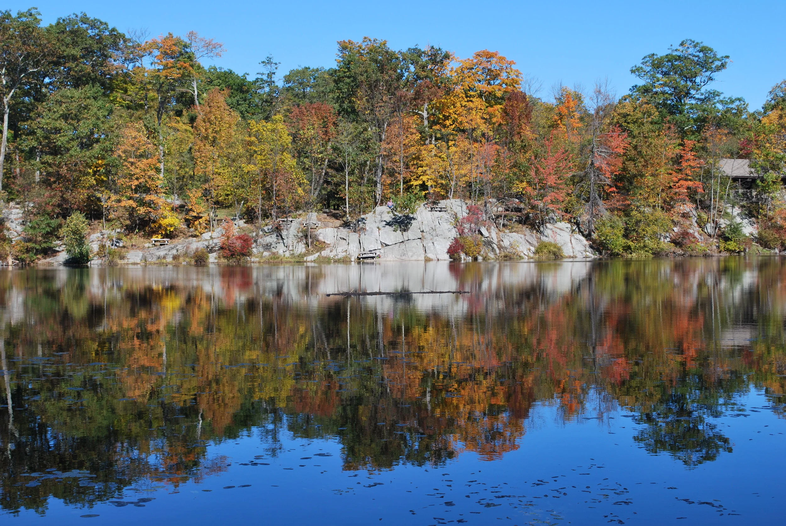 Reflections and the Hiding House