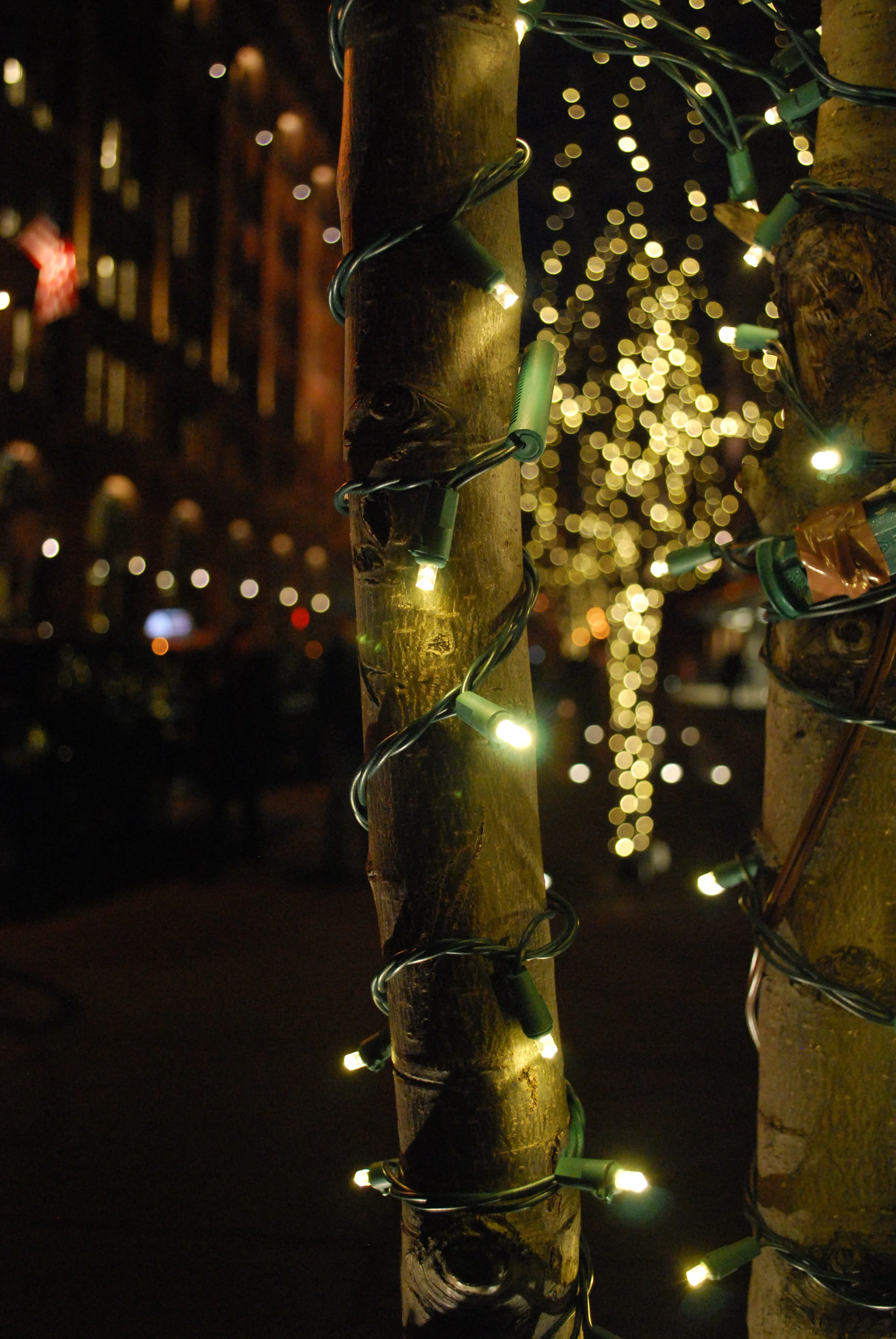 Focus and Other Things will Blur