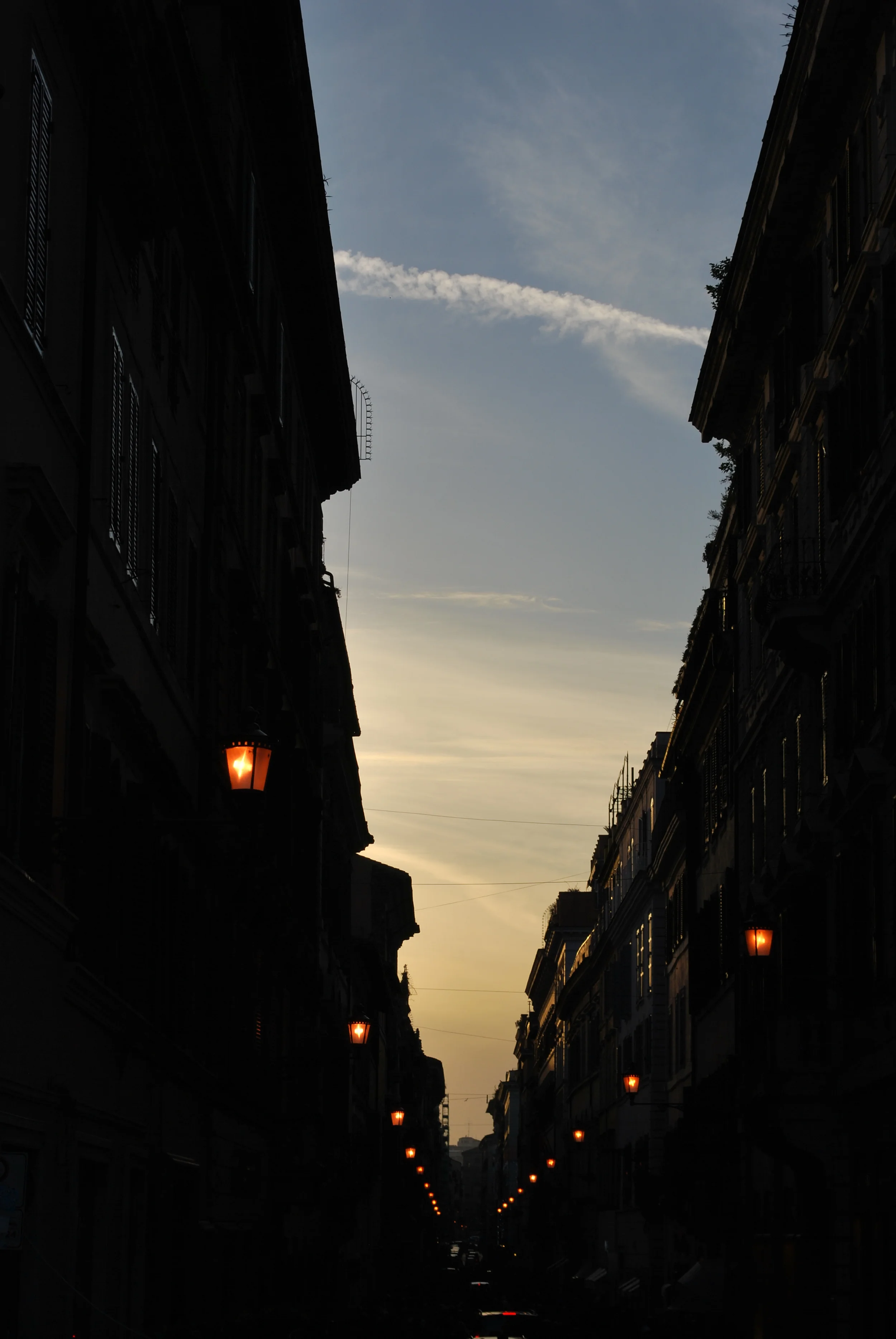 The Lights Will Guide You.JPG