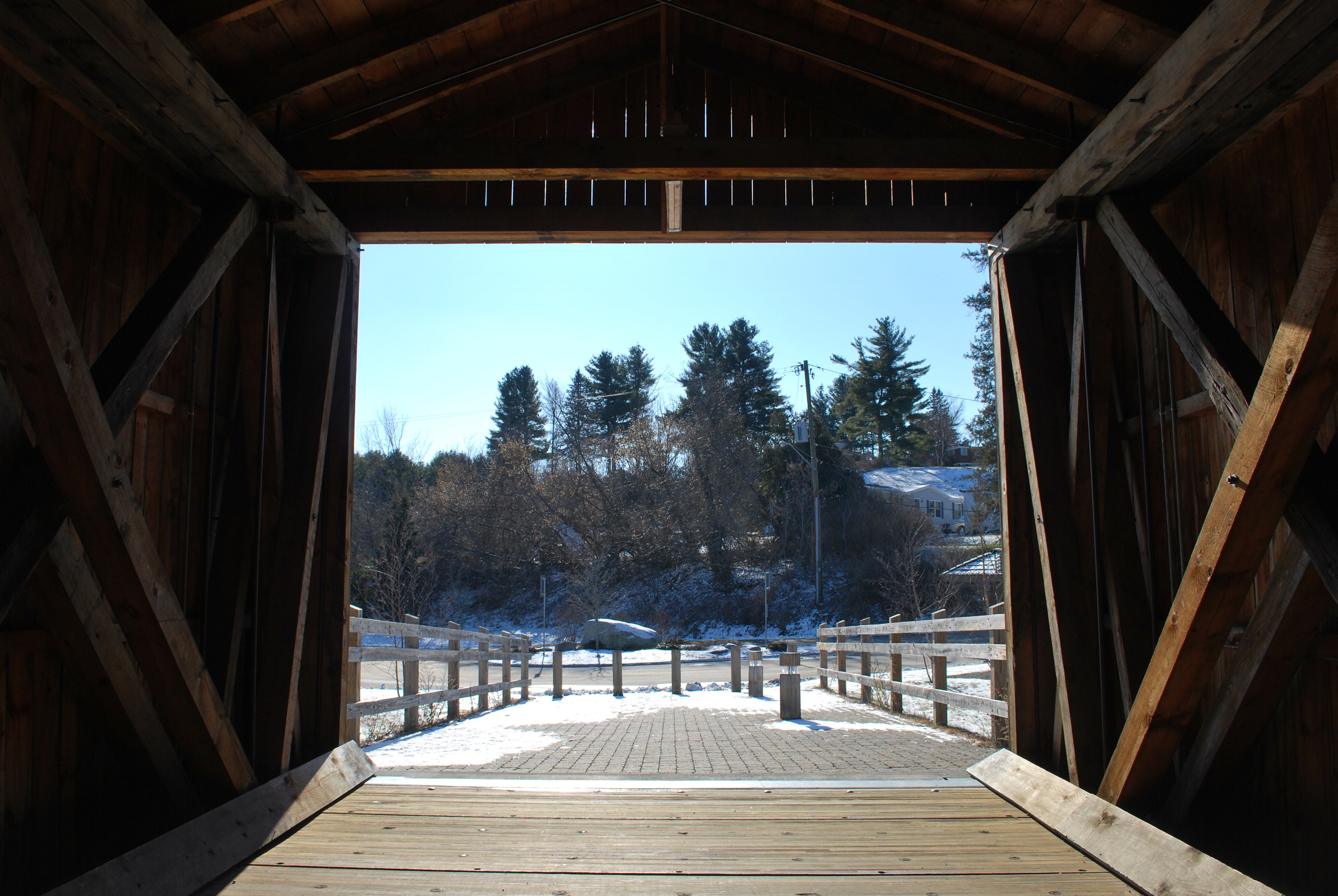 DSC_0155.JPG