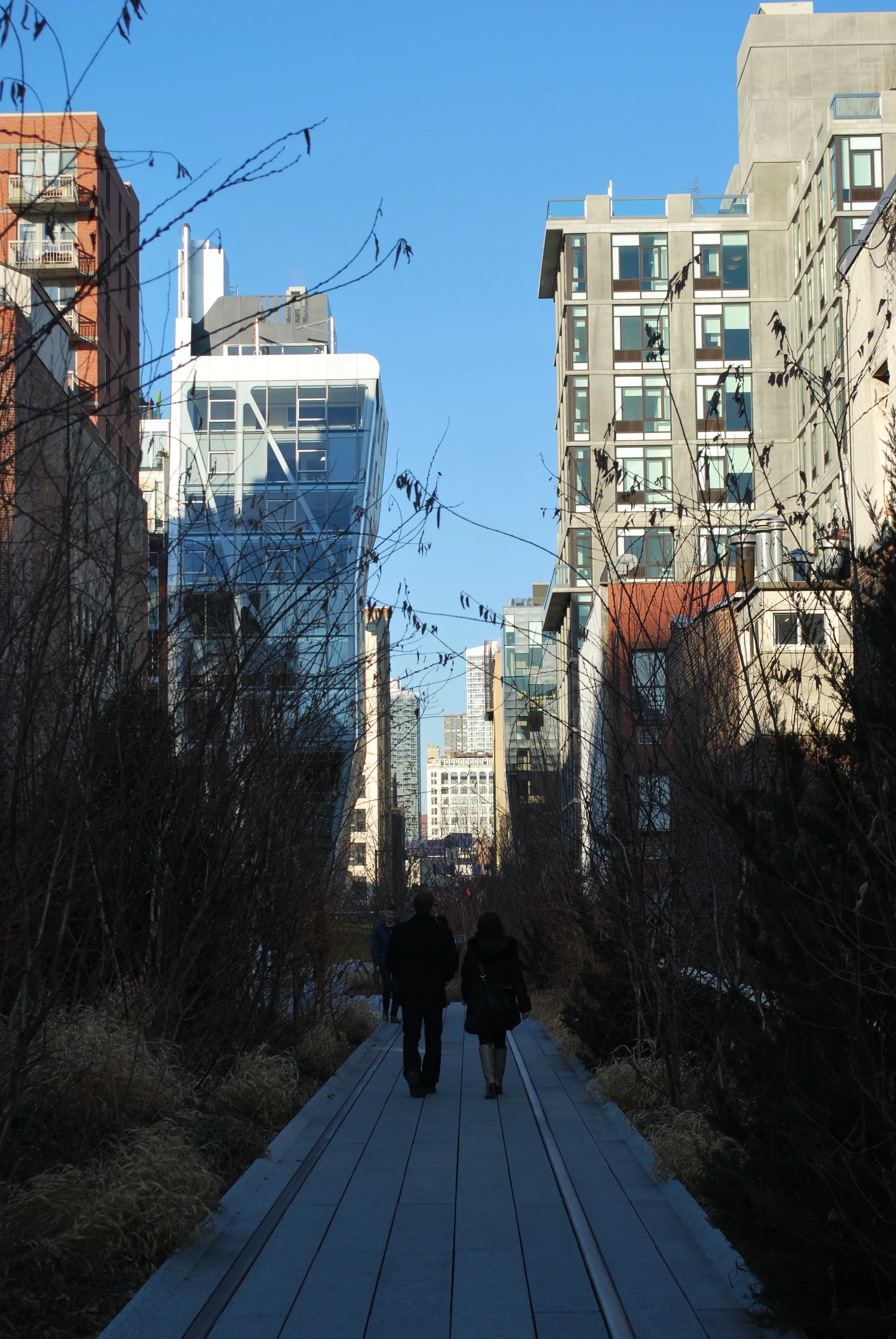 The trees, like leaves.JPG