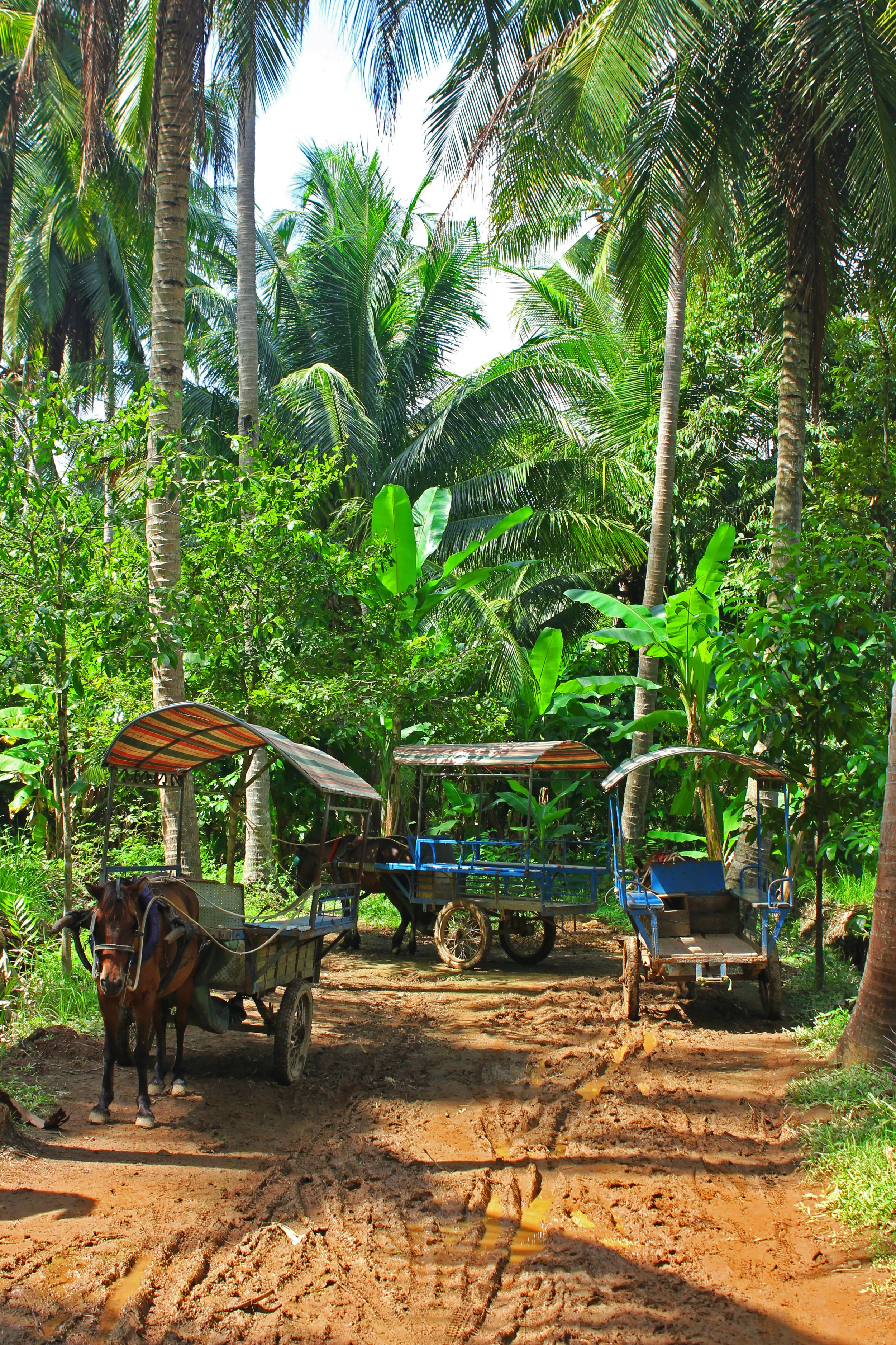 Vietnam island 