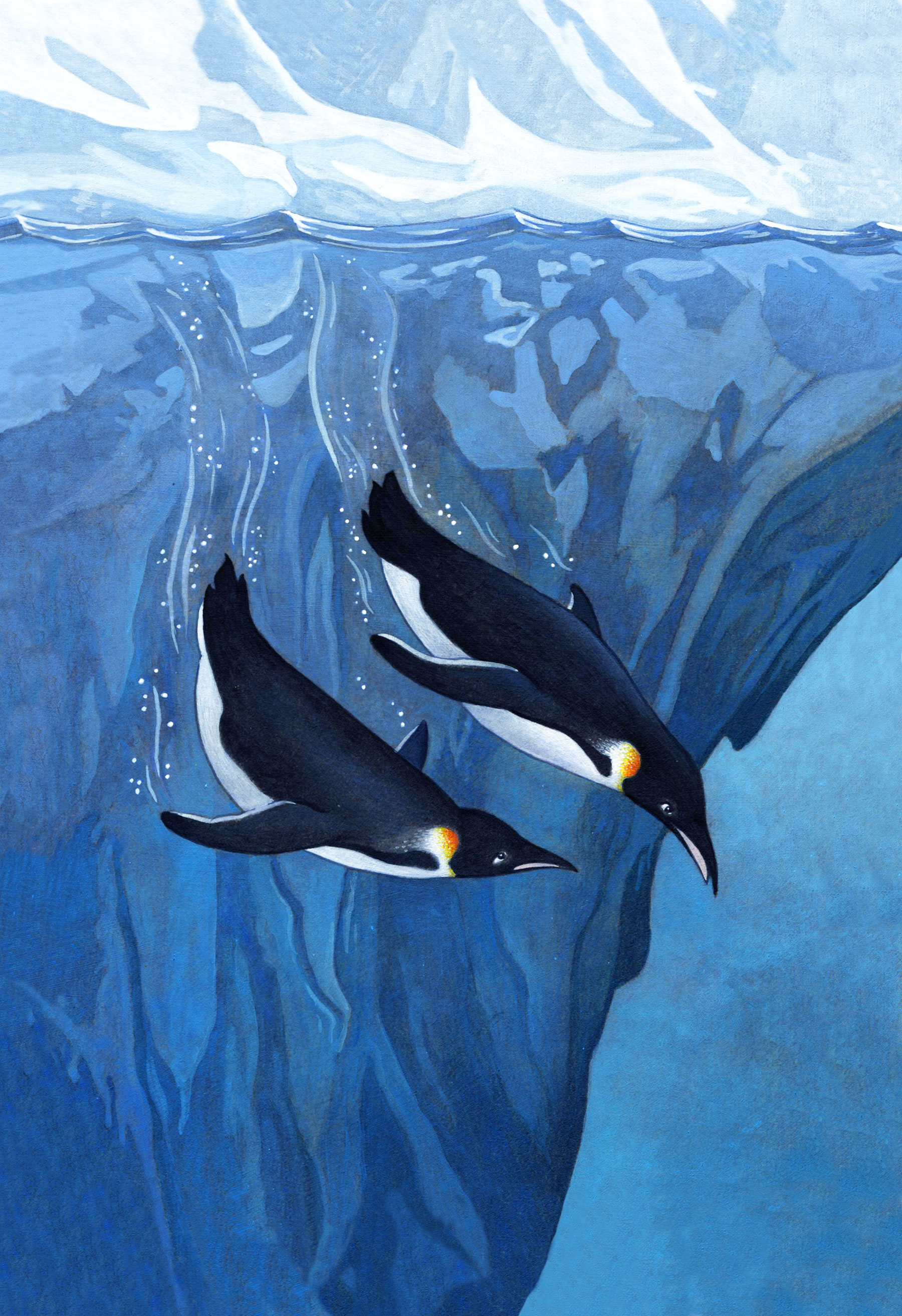 Our Iceberg is Melting - Penguin Random House - Portfolio Books