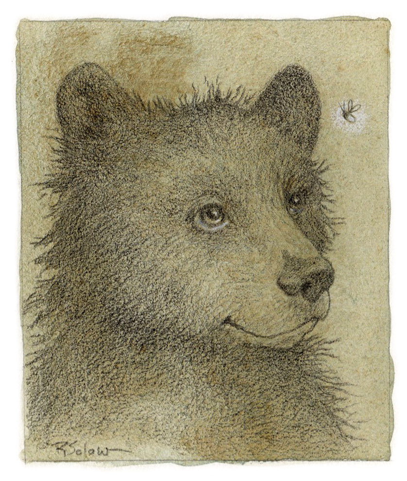 BearBee.jpg