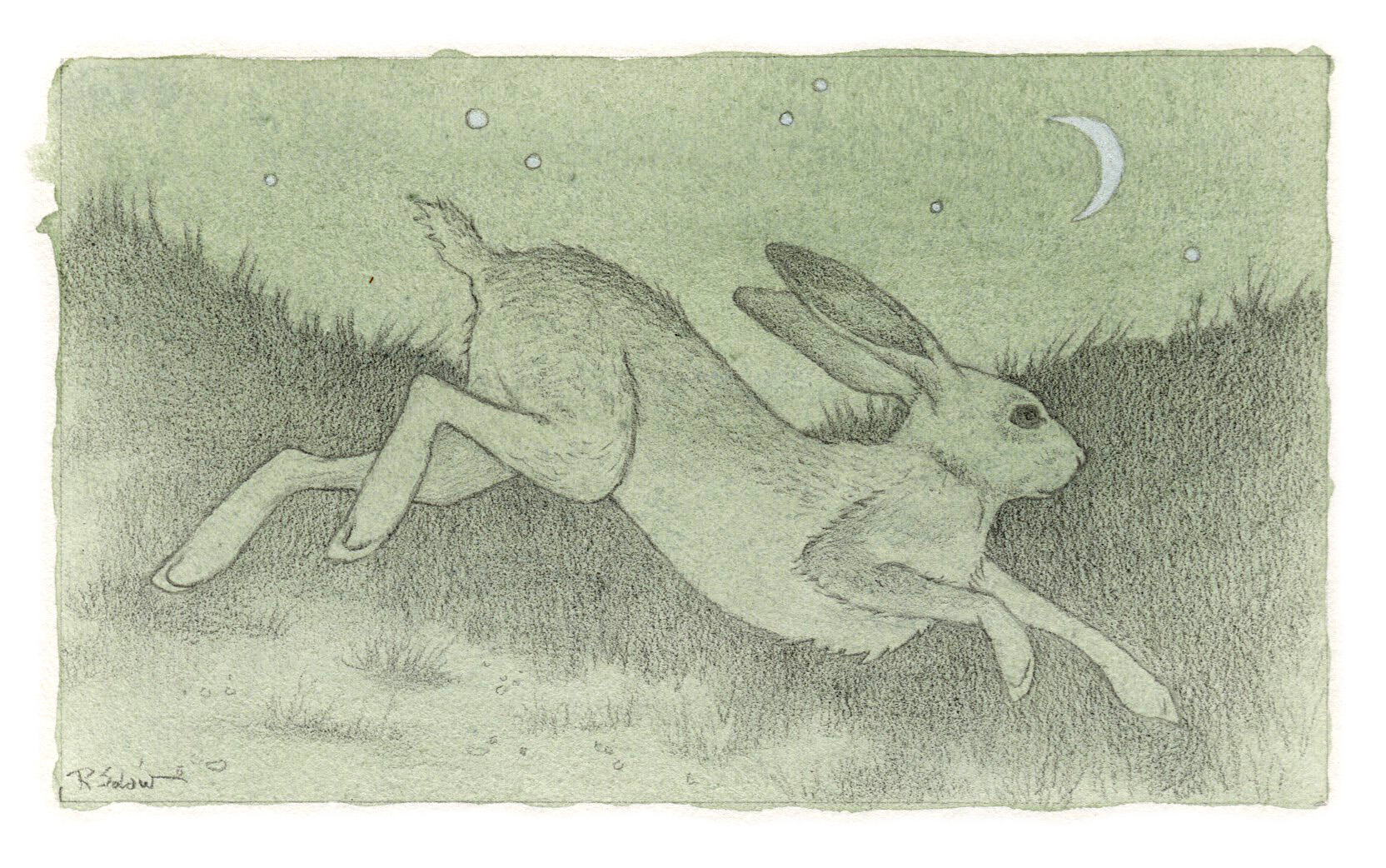 MoonHare.jpg