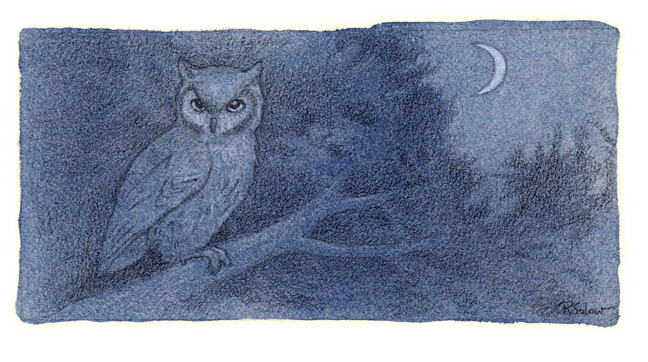 OwlMoon.jpg