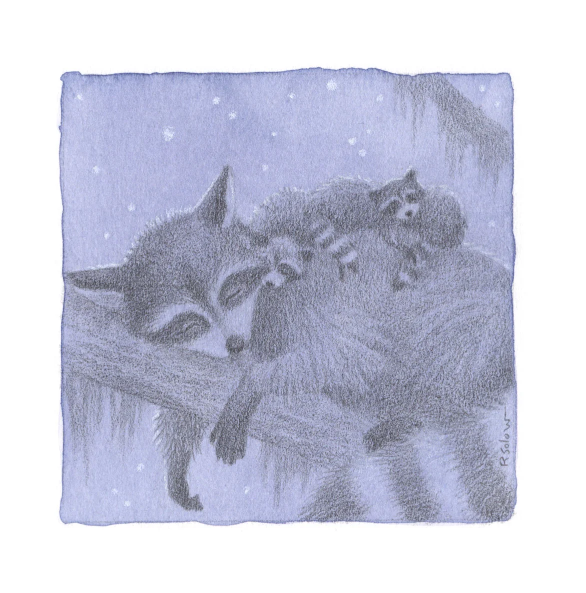 Mama Coon