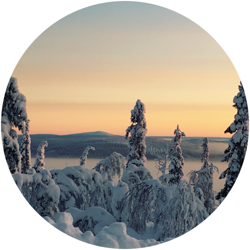 Elan Ski Shop & Rental Levi