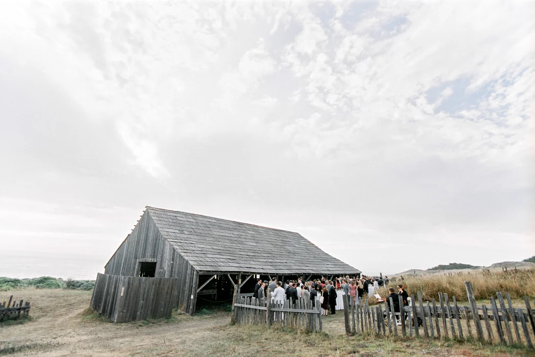 WebsiteWED-96.jpg