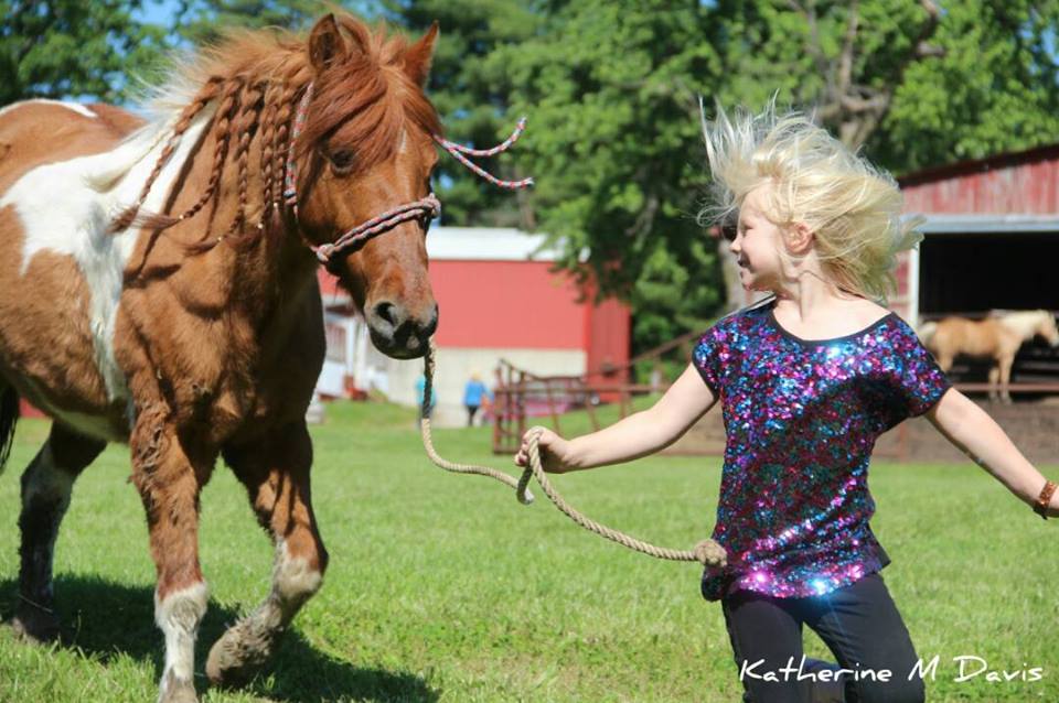Horses of Sunset Trails — Sunset Trails Horse Stables Lee's Summit
