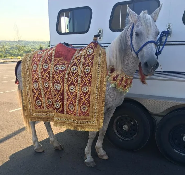 indian wedding fred.jpg