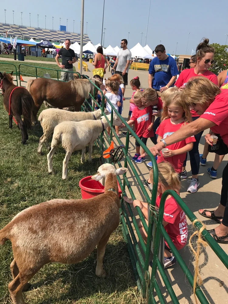Petting Zoo & Pony Rides — Sunset Trails Horse Stables | Lee's Summit ...