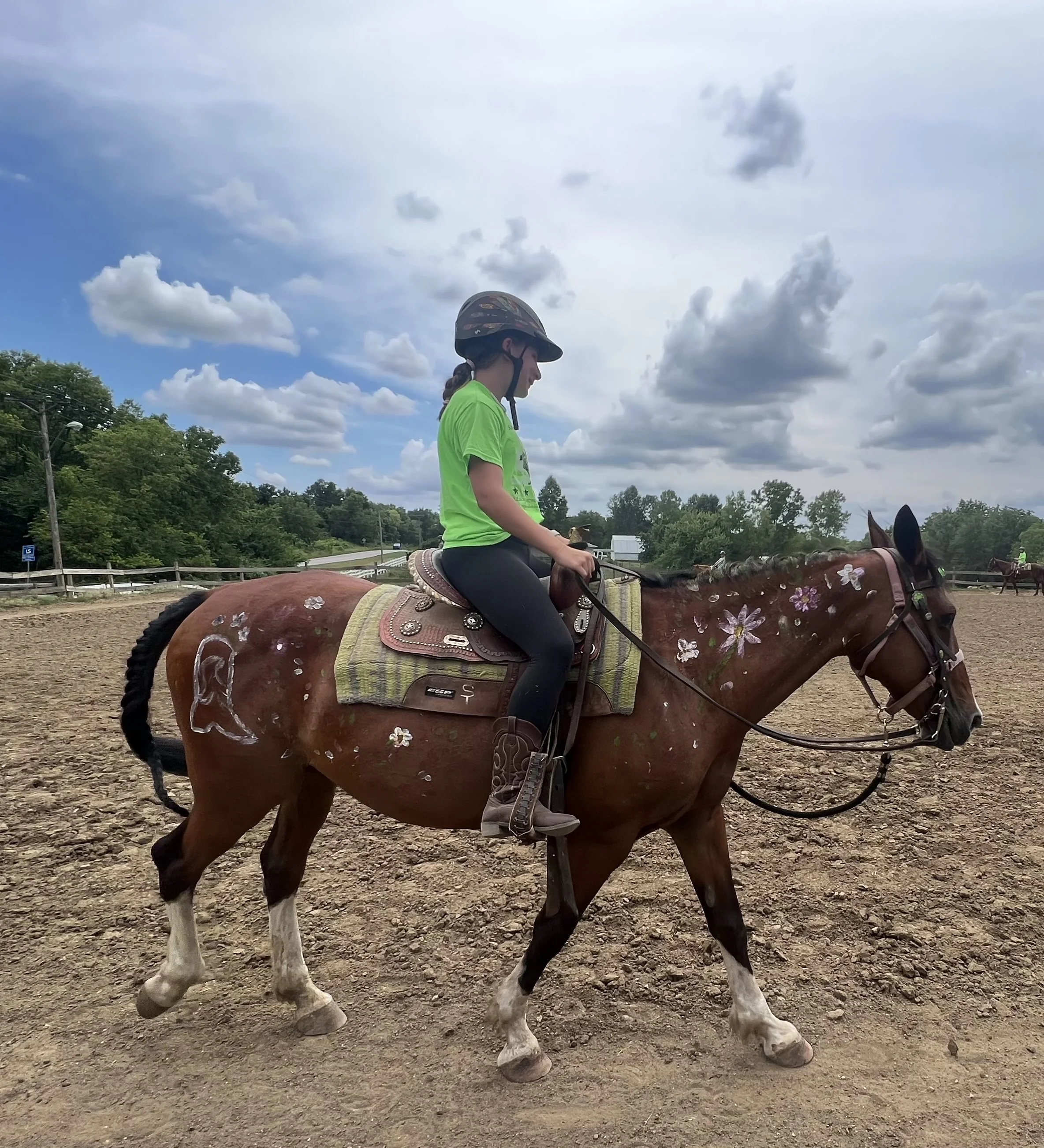Horses of Sunset Trails — Sunset Trails Horse Stables Lee's Summit
