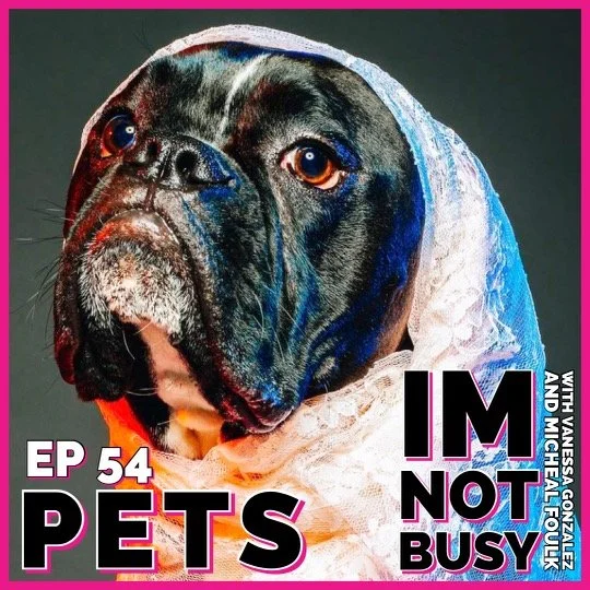 PETS episode artwork