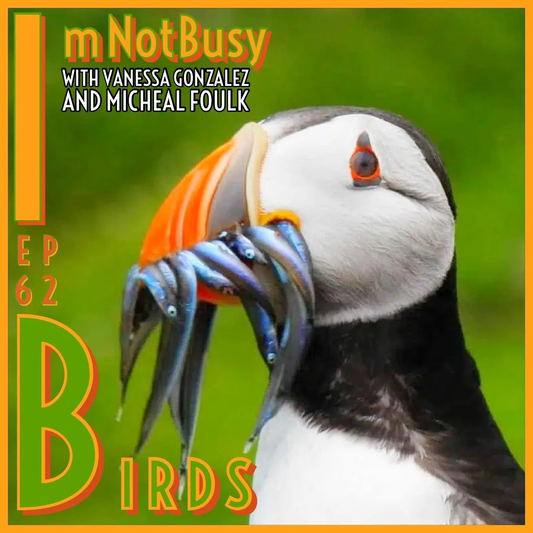 Birds episode artwork