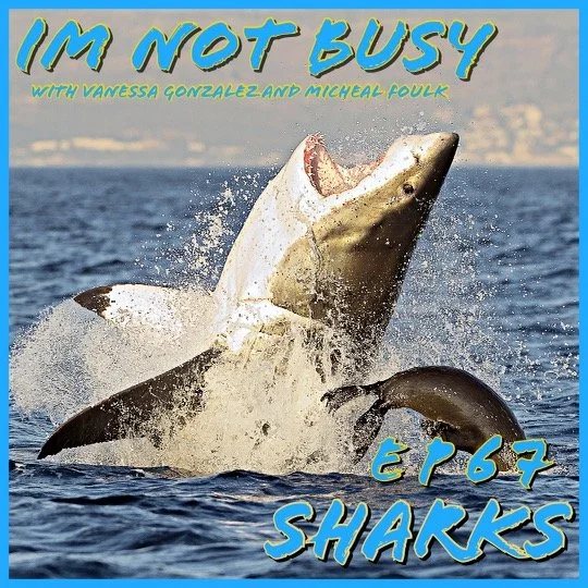 Sharks episode artwork