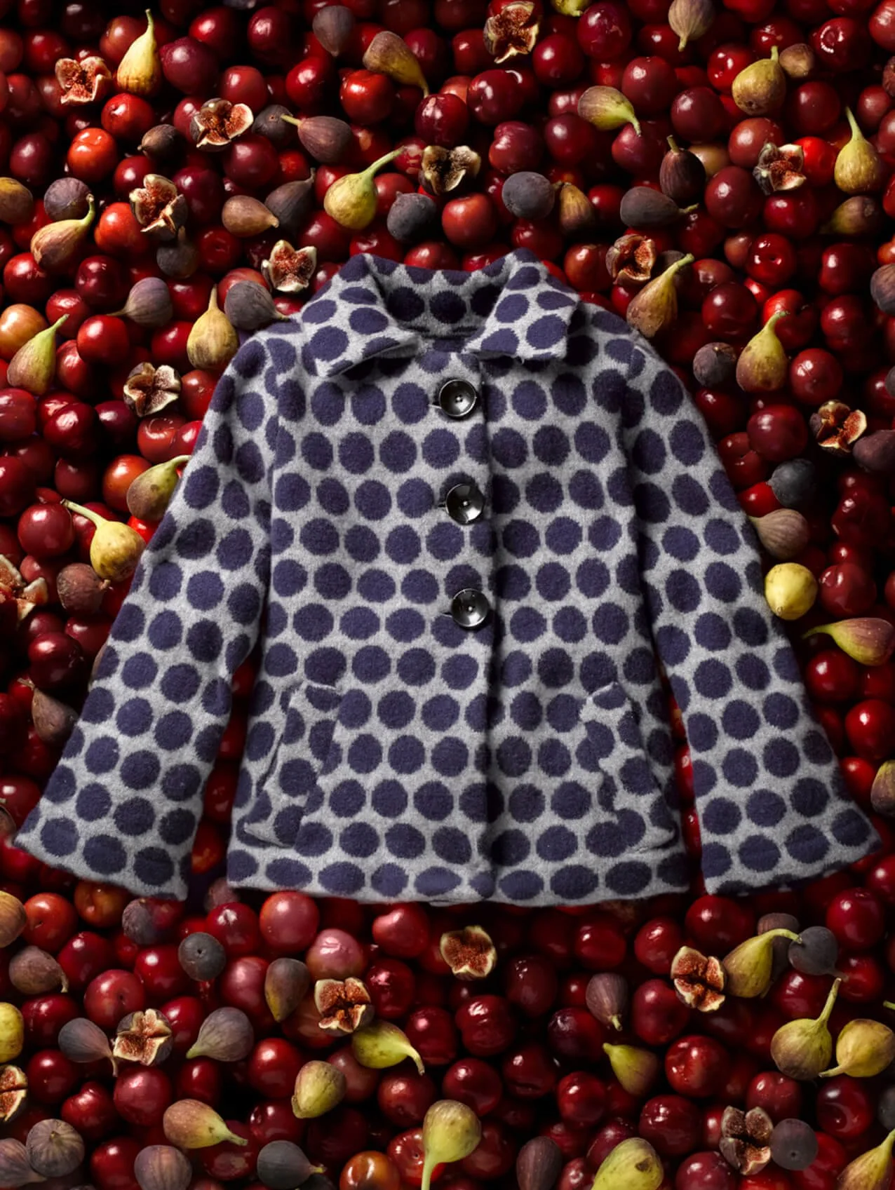 Boden-Plums.jpg