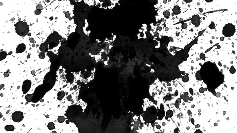 fallback-image.jpg